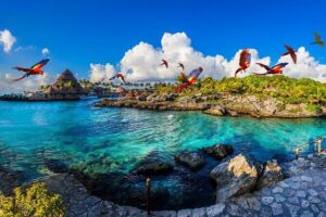 2 Day Combo Tour, Xcaret, Xel-Ha, Xplor and Chichen Itza Option - Xcaret day: jungle trails, beaches, and that big buffet lunch