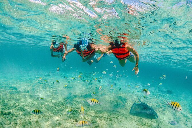 2 Day Combo Tour, Xcaret, Xel-Ha, Xplor and Chichen Itza Option - Xplor day: zip lines, amphibious rides, and the underground water circuit