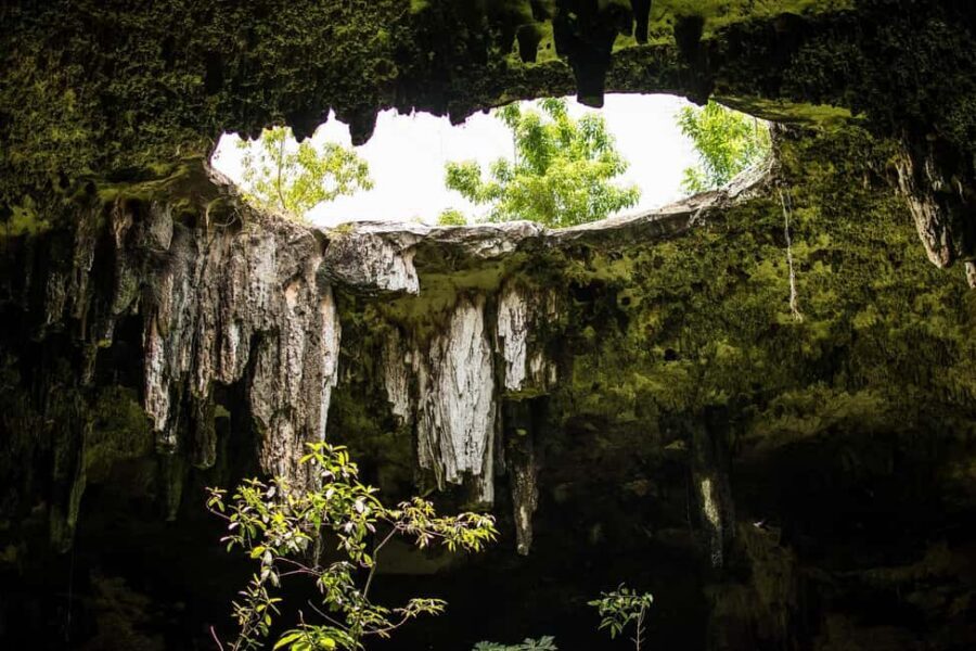 Cancun in its entirety: Chichen Itza ruins, cenote, and Valladolid - Pacing and practical expectations: who this tour suits