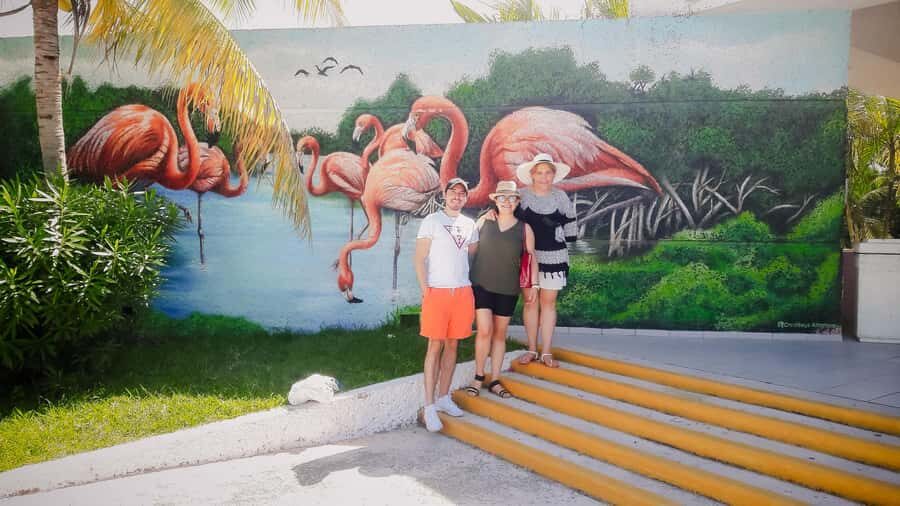 Celestún Flamingos, Beach, and Seafood Lunch Tour from Merida - Switching from foot to water: what the mangrove canals teach you