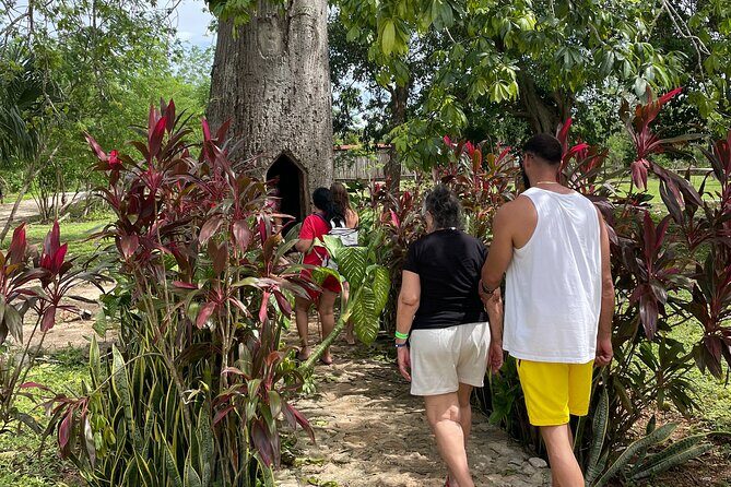 Chichen Itza and Mayan Traditions - Chichen Itza: main plaza, temples, and the science angle