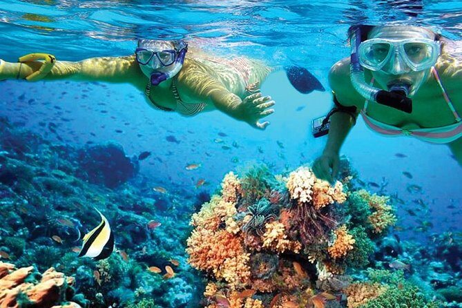 Chichen Itza Early Access & Catamaran to Isla Mujeres - Price and value: $65 plus fees you must budget