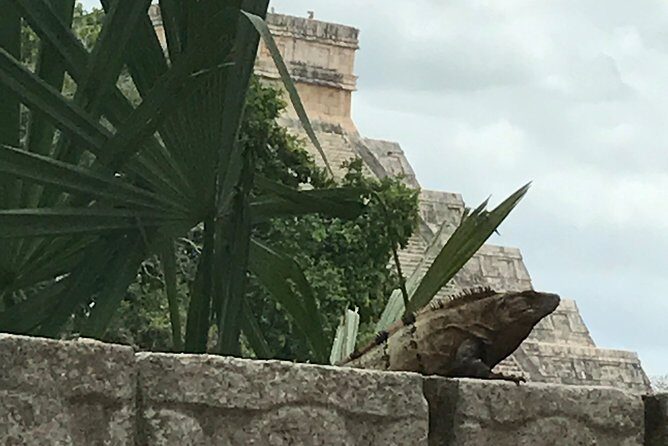 Chichen Itza Private experience - Food, water, and what’s included (so you’re not surprised)