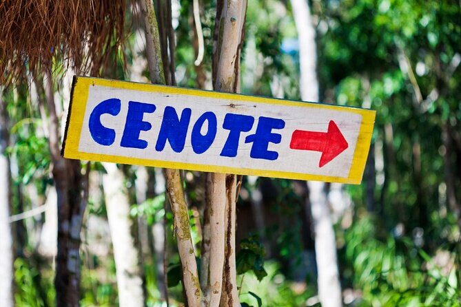 Guided Tour to Chichen Itza Cenote and Valladolid - Getting around comfortably: bus realities on a long day