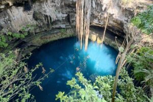 Private VW Beetle Tour to Chichen Itza, Cenote & Valladolid - Cenote Hacienda Oxman: pick the water experience that matches your energy